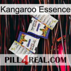 Kangaroo Essence 12